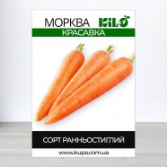 Насіння моркви Красавка, 1кг